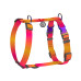 Шлей для собак WAUDOG Nylon Recycled анатомическая H-образная с QR-паспортом, градиент, S оранжевая (52864) – WAUDOG