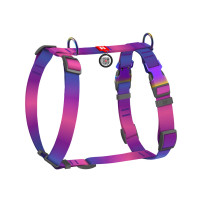 Шлея для собак WAUDOG Nylon Recycled анатомічна H-подібна з QR-паспортом, градієнт, S фіолетова (52869)