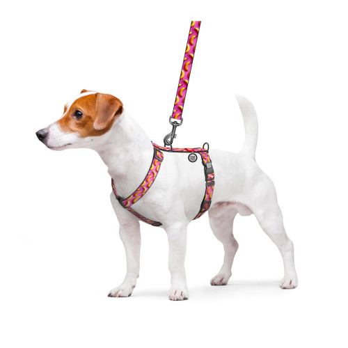Шлей для собак WAUDOG H-образная анатомическая Nylon с QR адресником "Бананы на розовом" пластиковый фастекс S (343-4055) – WAUDOG (вид 2)