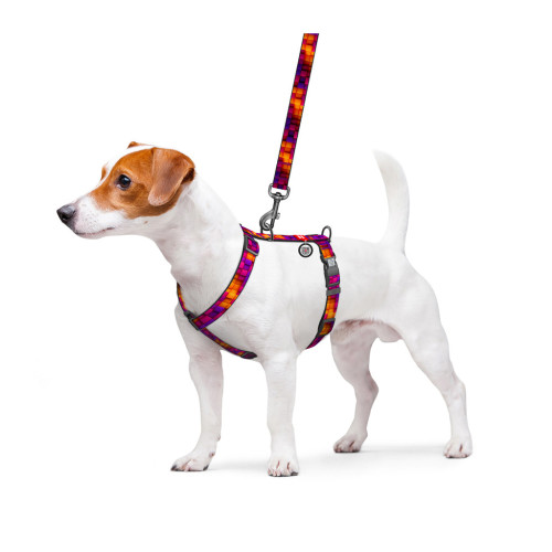 Шлей для собак WAUDOG H-образная анатомическая Nylon с QR адресником "Кубы 3Д" пластиковый фастекс XL (347-4057) – WAUDOG (вид 2)