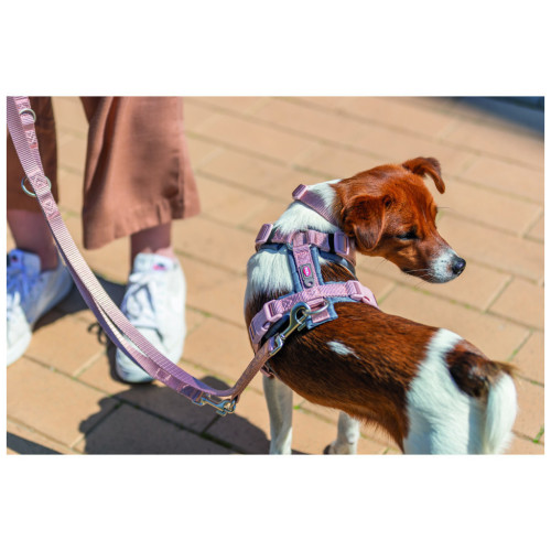 Шлея для собак Trixie Premium трекінгова S–M 44–53 см 20 мм рожево-сіра (4053032678903) – Trixie (вид 1)