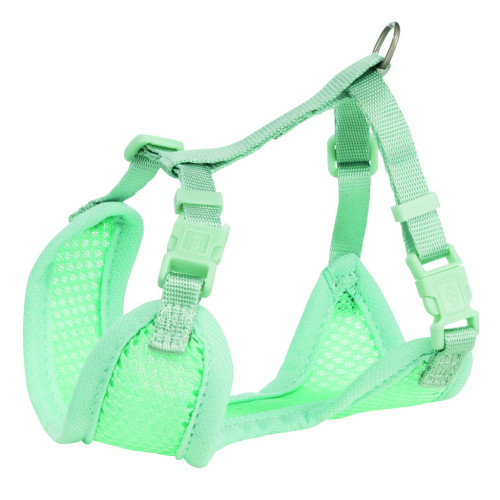 Шлей для собак Trixie с поводком для щенков S–M 26–34 см 10 мм мятная (4011905155654) – Trixie