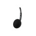 Навушники Sandberg Office Headset 3,5мм Black (325-41) – Sandberg (вид 1)